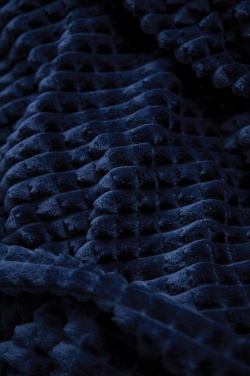 Logotrade Geschäftsgeschenke das Foto: VINGA Branson Decke aus GRS recyceltem PET