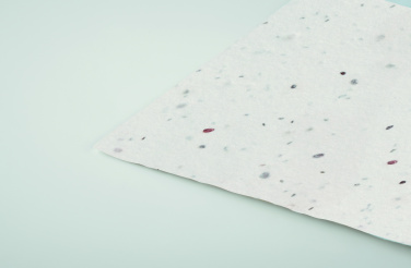 Logotrade Werbegeschenke das Foto: Wildblumensamen-Visitenkarte.