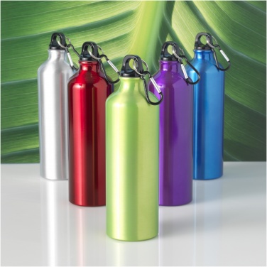 Logo trade promotional items image of: Oregon 770 ml aluminium water bottle with carabiner