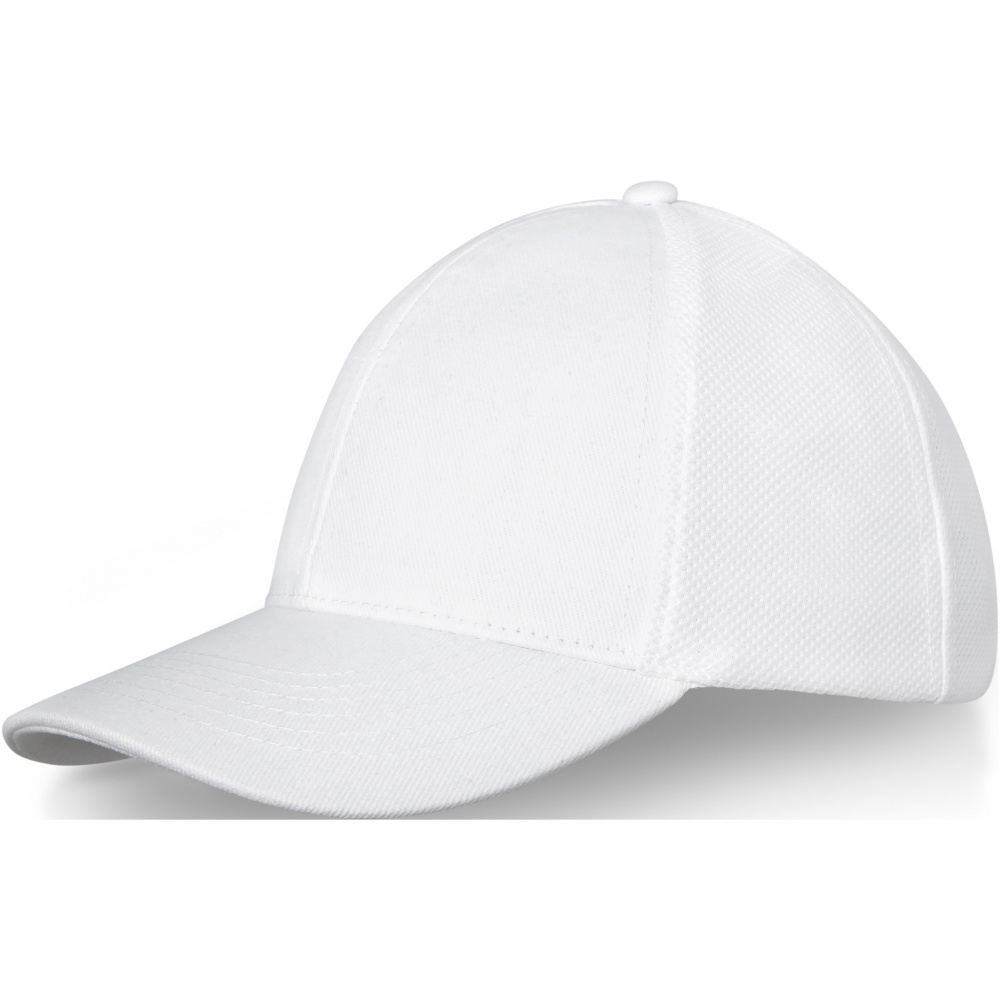 Logo trade business gift photo of: Drake 6 panel trucker cap