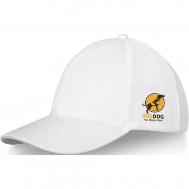Logo trade promotional items image of: Drake 6 panel trucker cap