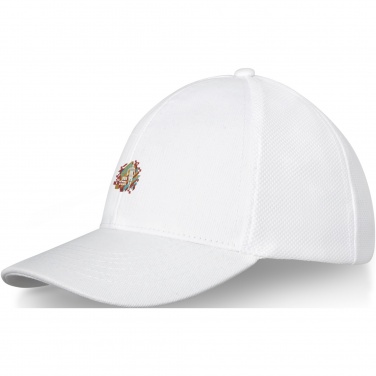 Logotrade corporate gift image of: Drake 6 panel trucker cap
