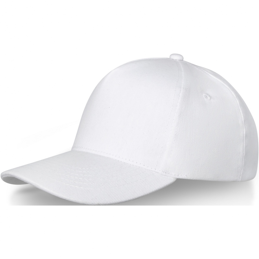Logotrade promotional merchandise image of: Doyle 5 panel cap