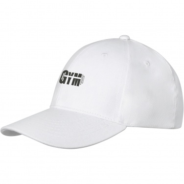 Logo trade promotional gift photo of: Davis 6 panel cap