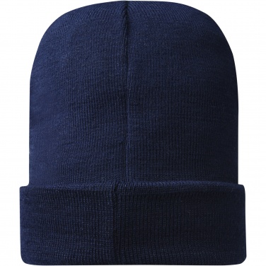 Logotrade corporate gift image of: Hale Polylana® beanie