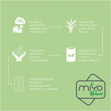 Logotrade promotional merchandise picture of: MIYO Renew single layer lunch box