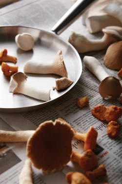 Logo trade corporate gifts picture of: VINGA Vici Outdoor Pan