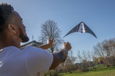 Logotrade promotional products photo of: Delta kite