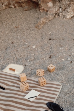 Logo trade corporate gifts image of: VINGA Outdoor yacht game