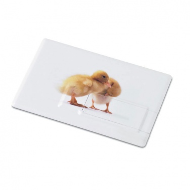 Logo trade promotional gifts picture of: Creditcard. USB flash 32GB