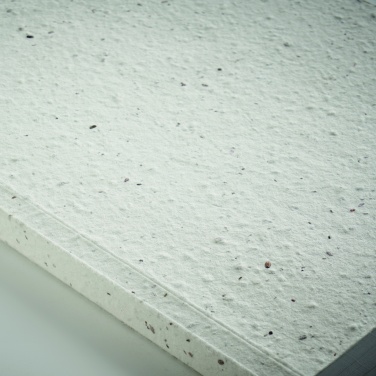 Logotrade promotional merchandise photo of: A5 seed paper cover notebook