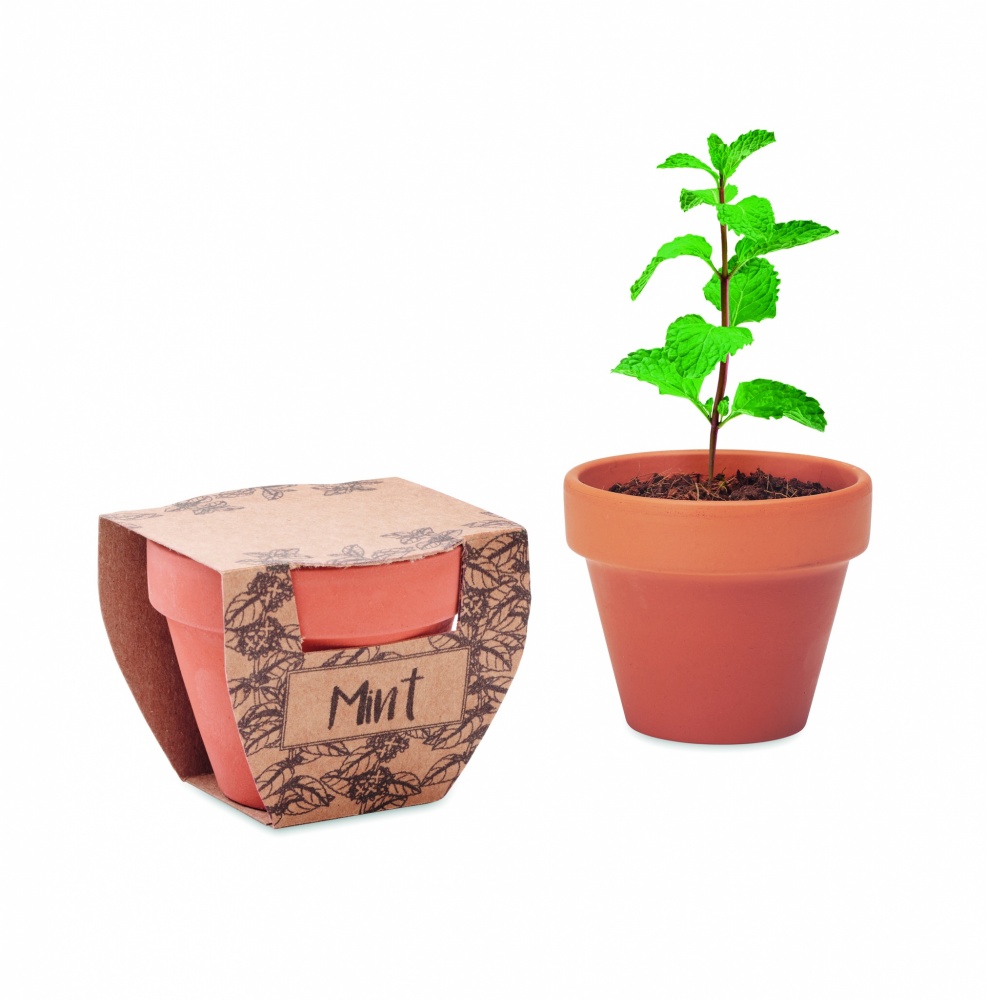 Logotrade advertising product picture of: Terracotta pot mint seeds