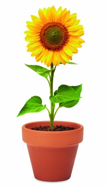 Logo trade promotional gift photo of: Terracotta pot 'sunflower'