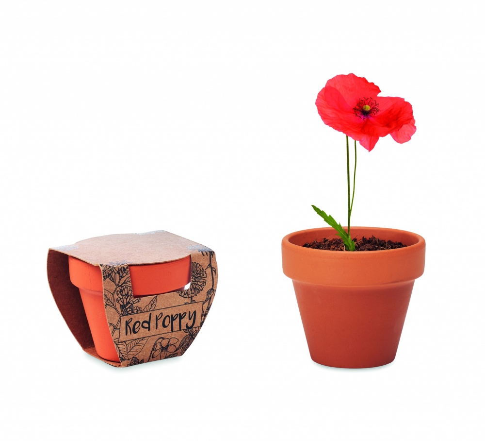 Logotrade promotional gift image of: Terracotta pot 'poppy'