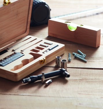 Logo trade promotional gift photo of: 21 pcs tool set in bamboo case