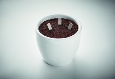 Logotrade promotional merchandise photo of: Herb seeds sticks