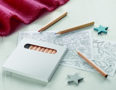 Logotrade advertising product picture of: Drawing adult set