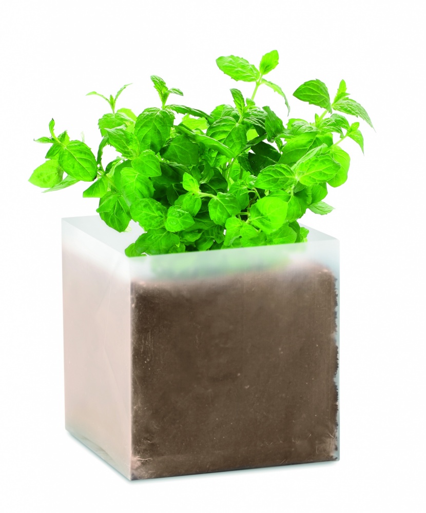 Logo trade promotional products picture of: Compost with seeds "MINT"