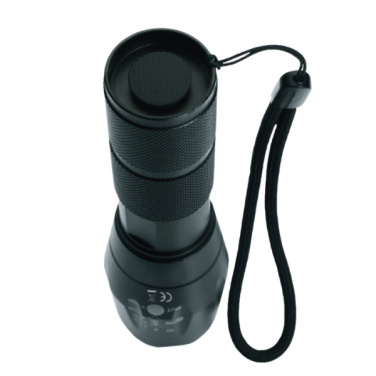 Logo trade corporate gifts picture of: Flashlight DELGADA Schwarzwolf