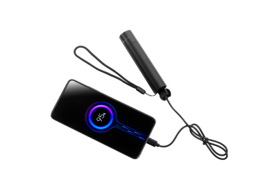 Logo trade corporate gift photo of: Flashflight ZAGROS Schwarzwolf