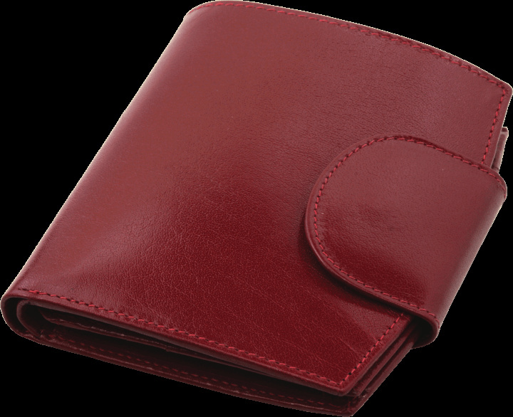 Logo trade promotional merchandise image of: Wallet 31901300