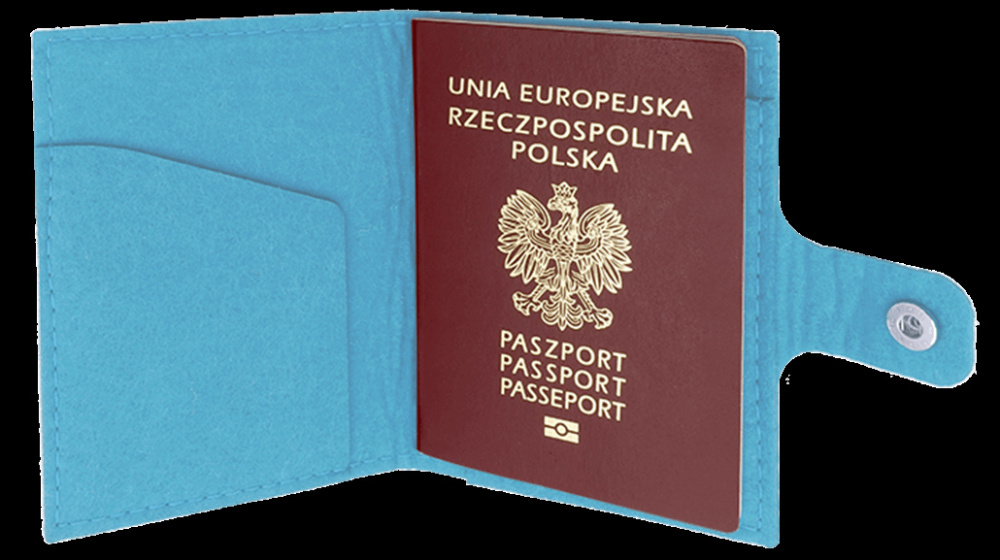 Logotrade promotional item image of: Passport case 84106200