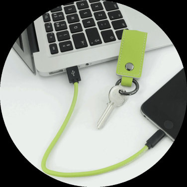 Logo trade promotional products picture of: Keyring 59612900