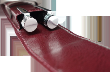 Logotrade promotional product picture of: Pen case 236019