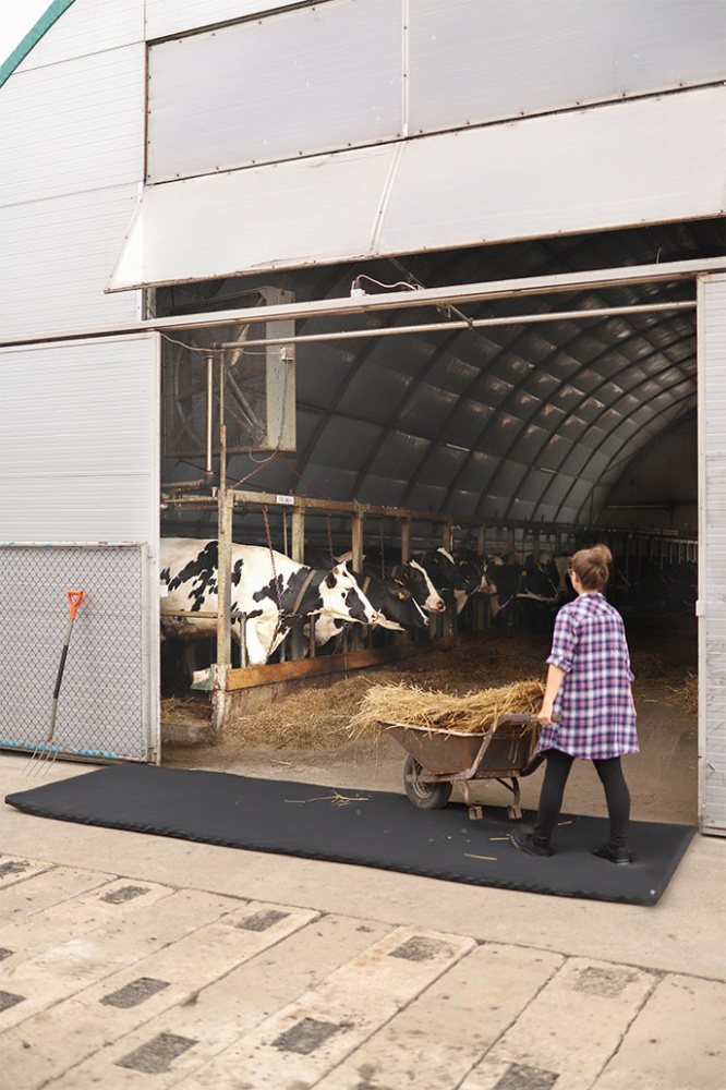 Logo trade promotional gifts picture of: Transit disinfection mat 120x500x4cm 1366087