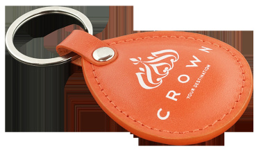 Logo trade promotional products image of: Keyring 573131
