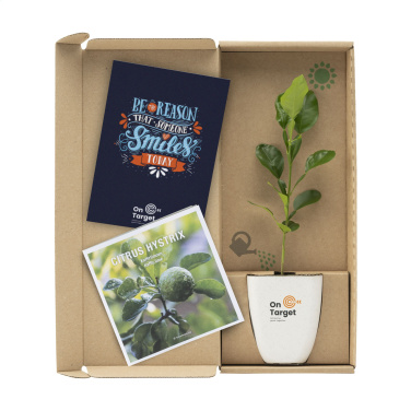 Logotrade promotional items photo of: Treemore Letterbox Trees Kaffir Lemon