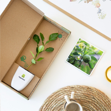 Logo trade advertising products picture of: Treemore Letterbox Trees Kaffir Lemon