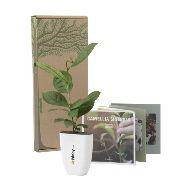 Logo trade promotional gifts image of: Treemore Letterbox Trees Tea plant