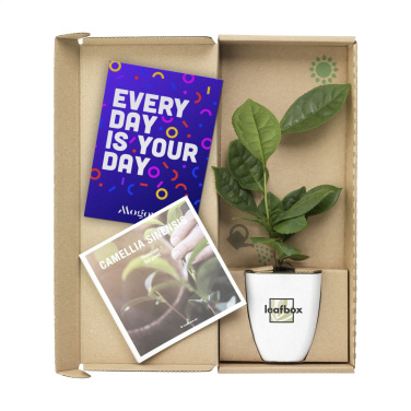 Logotrade business gift image of: Treemore Letterbox Trees Tea plant