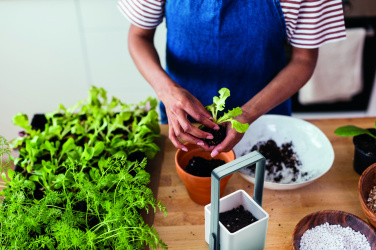 Logo trade promotional gifts image of: Indoor garden with LED light