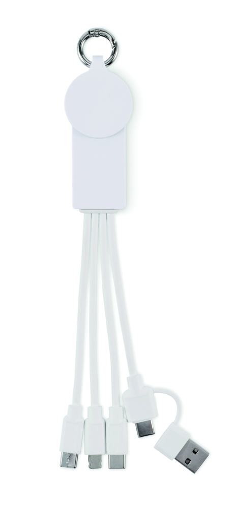Logo trade promotional products image of: 2 in 1 charging cable type-C