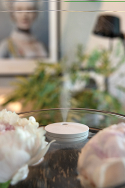 Logo trade corporate gifts picture of: Breevia RCS rplasic re-chargeable floating humidifier