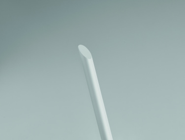 Logotrade promotional giveaway image of: Long lasting inkless pen