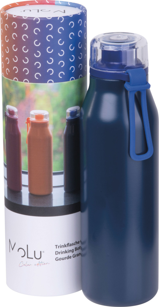 Logo trade promotional product photo of: Water bottle Grand Haven MoLu