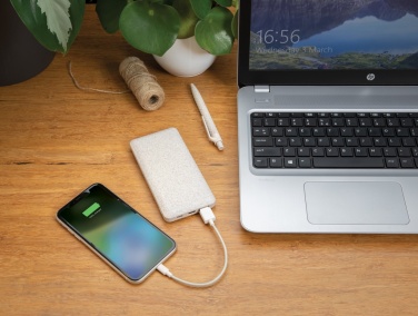 Logotrade meene foto: 10 000 mah nisuõlgedest akupank