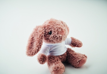 Logo trade meene pilt: Mängujänes kapuutsiga pluusiga