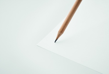 Logotrade meene foto: Looduslik kustutuskummiga pliiats