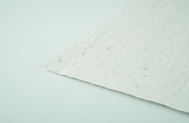 Logotrade firmakingituse foto: A5 metsalilleseemne paberileht