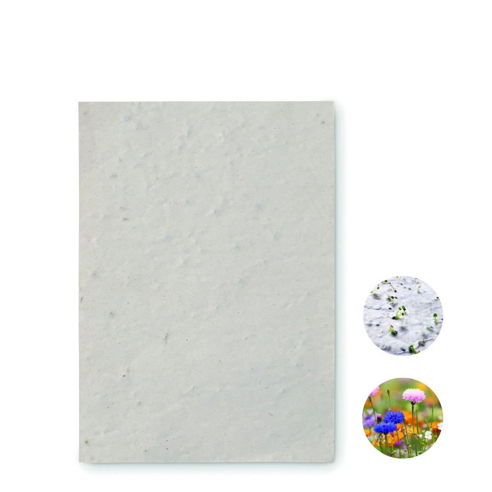 Logo trade firmakingid foto: A6 metsalilleseemne paberileht
