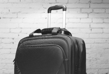 Logotrade firmakingitused pilt: Ärikäru