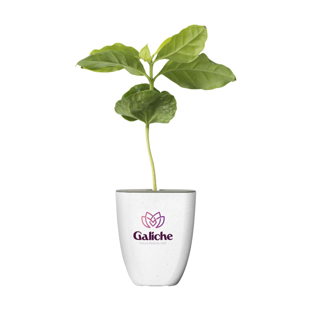 Logo trade firmakingid foto: Treemore Letterbox Trees Kohv