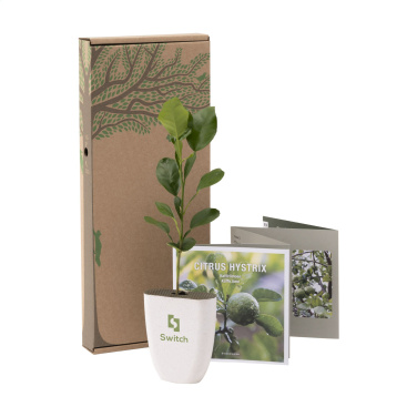 Logotrade reklaamkingitused pilt: Treemore Letterbox Trees Kaffir Lemon
