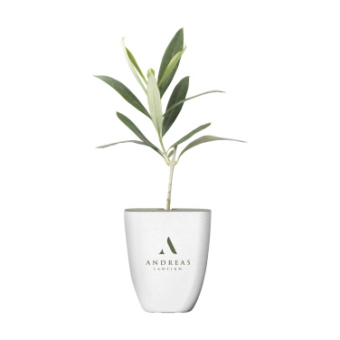 Logotrade reklaamkingitused pilt: Treemore Letterbox Trees Olive