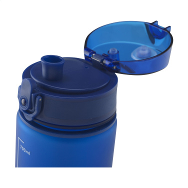 Logotrade reklaamkingid pilt: Hailey pudel 750 ml