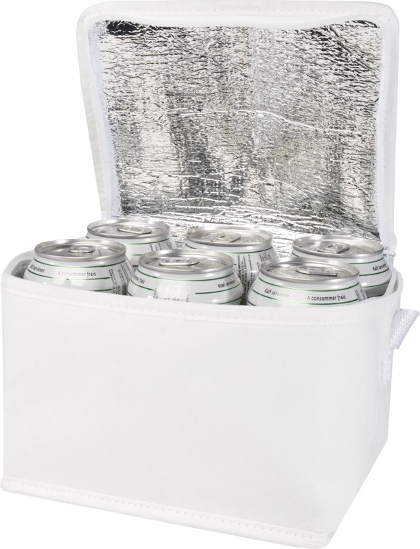 Logo trade firmakingi pilt: Spectrum taaskasutatud materjalist külmakott 4L 6-purgile